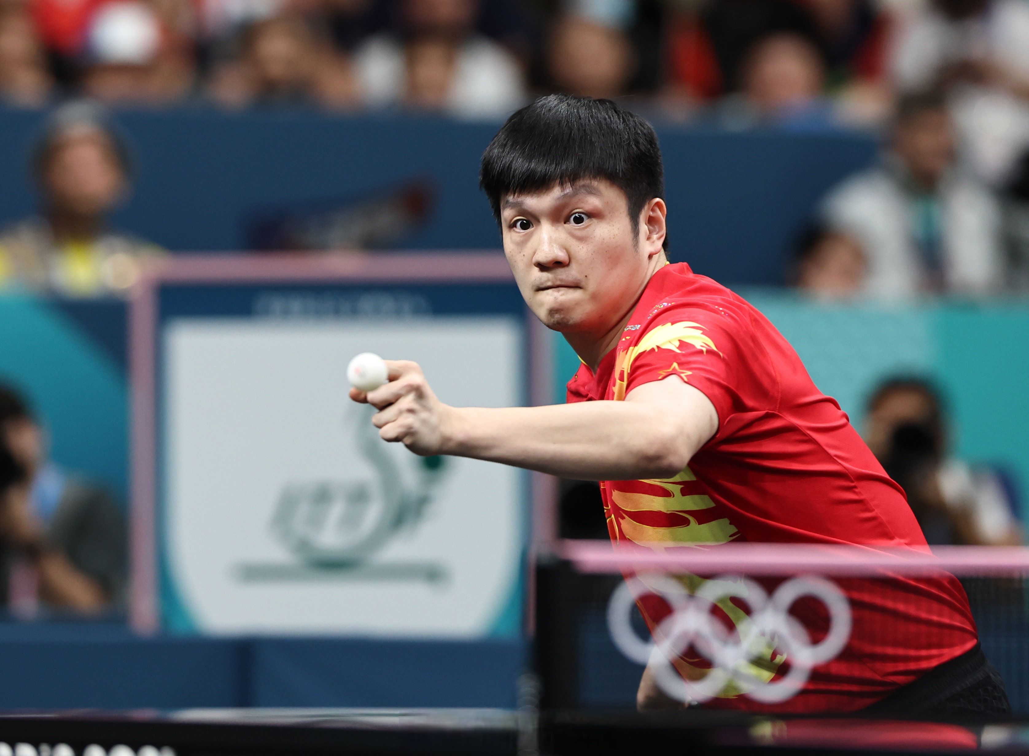 日本乒乓球队碾压瑞典乒乓球队,樊振东送出助攻的简单介绍 日本乒乓球队碾压瑞典乒乓球队,樊振东送出助攻的简单介绍