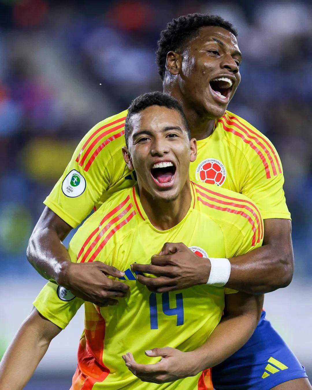 开云平台-关于南美洲足球：阿根廷队成功晋级决赛的信息