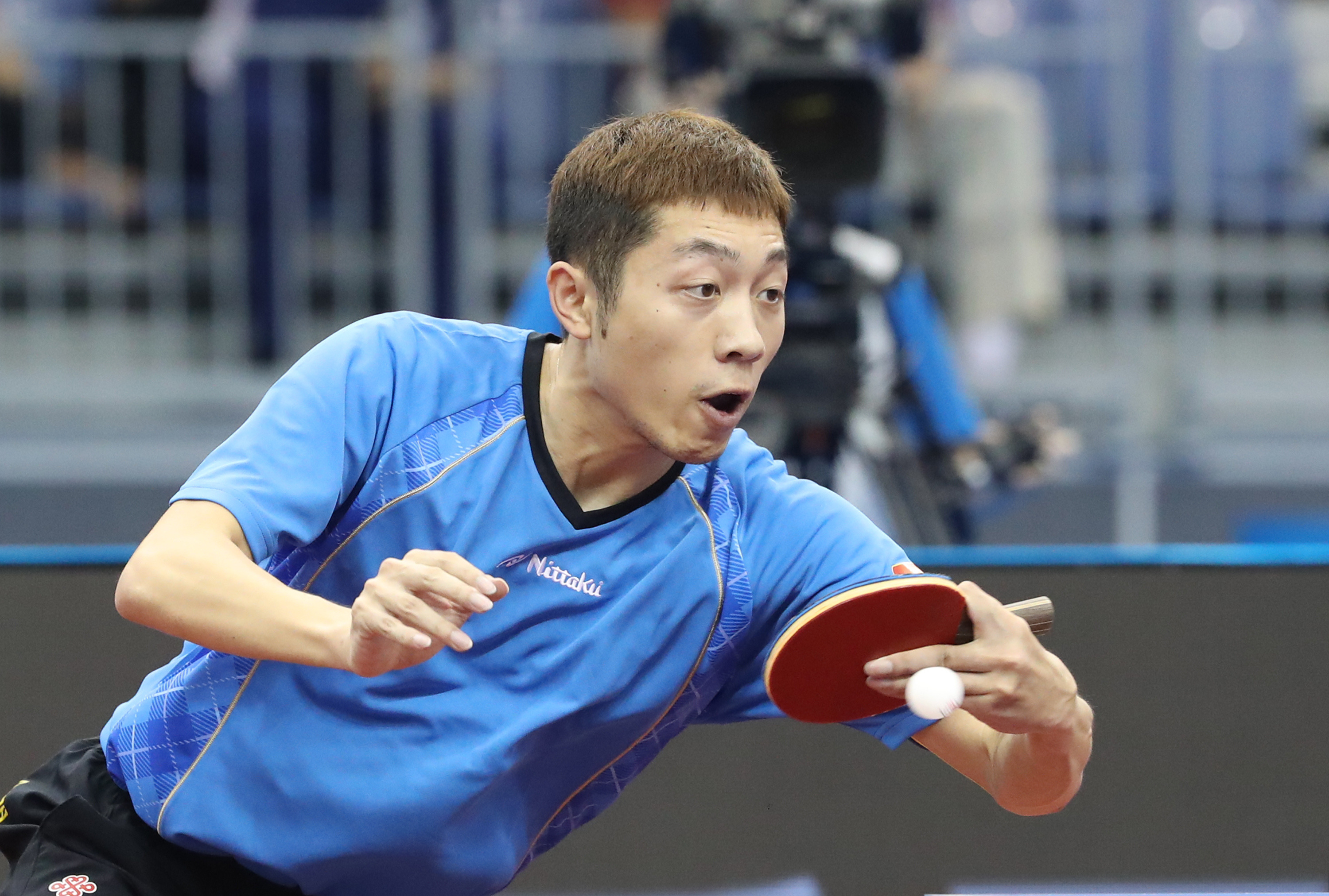 包含德国乒乓球队绝杀瑞典乒乓球队，张继科打破历史纪录的词条