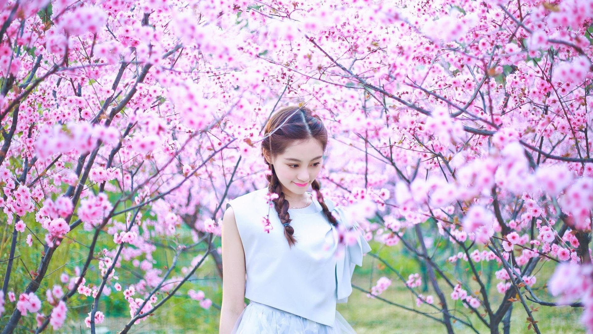 戈贝尔统治内线引爆魔术单节狂潮,76人防守体系遭无情撕裂