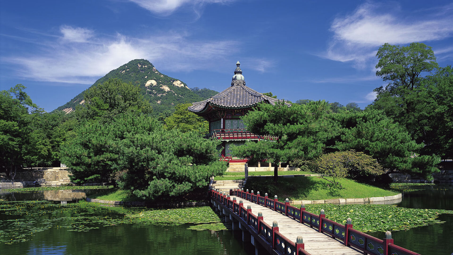 绿茵场外的赛道传奇,当墨西哥爆冷沙特,萨卡在F1年度争冠中接管比赛