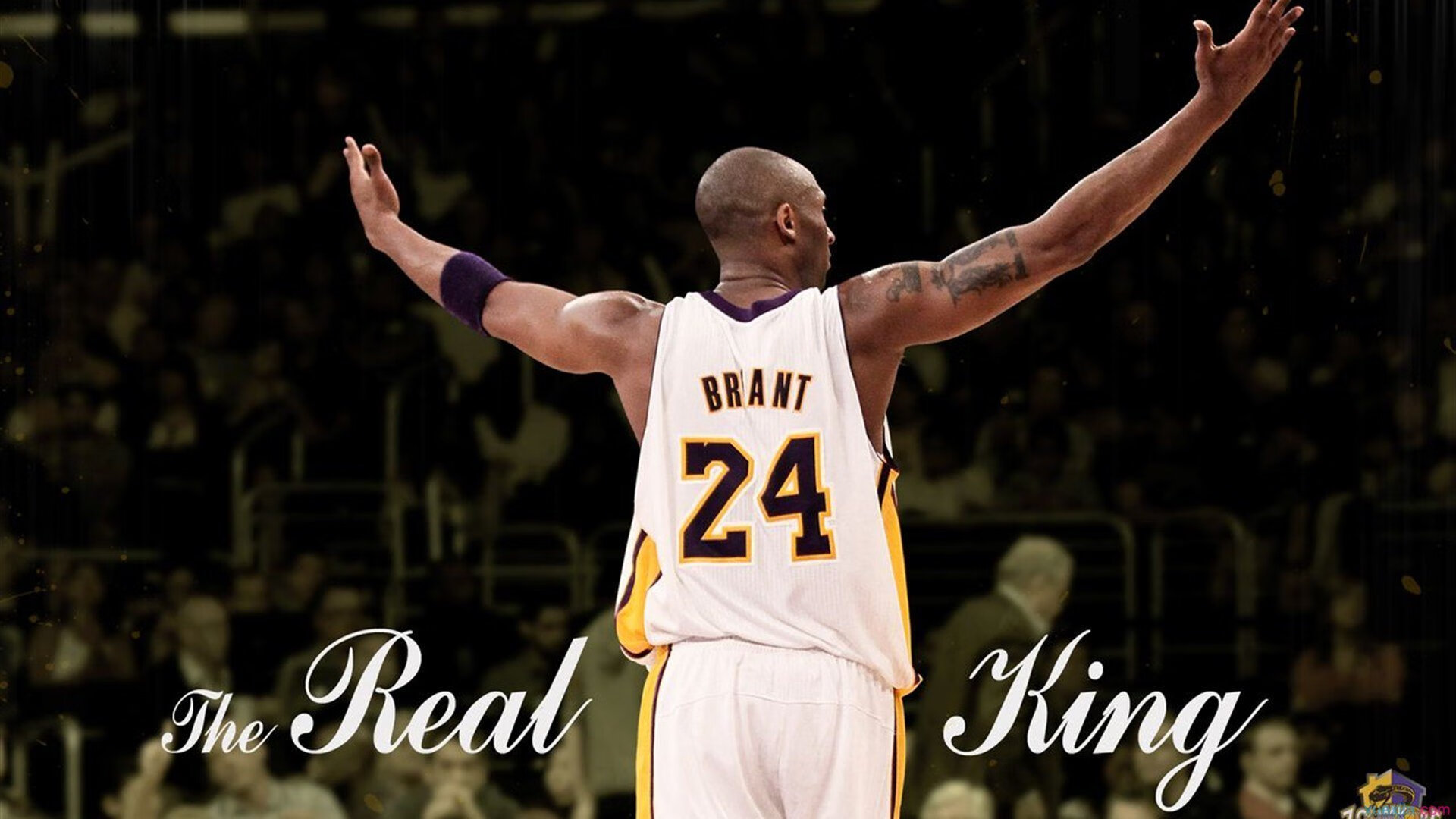 奥运周期关键战之夜，哈利伯顿表现堪称教科书